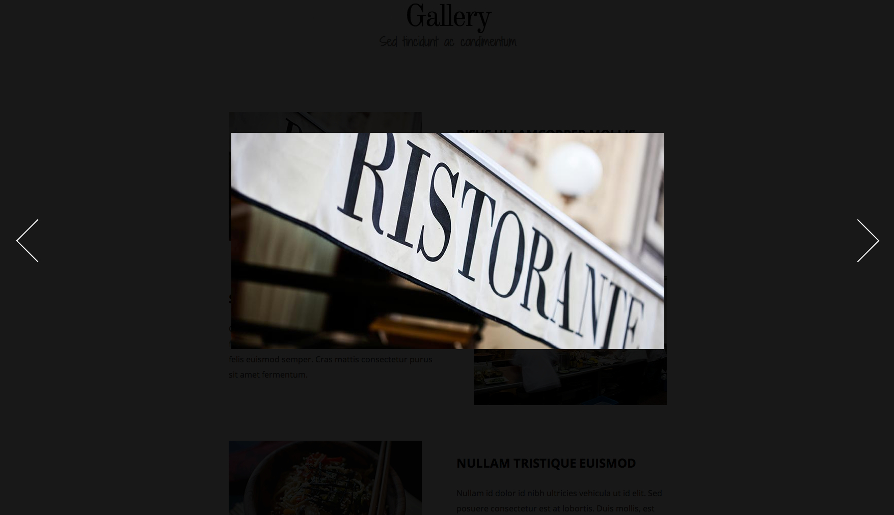 gallery-popup